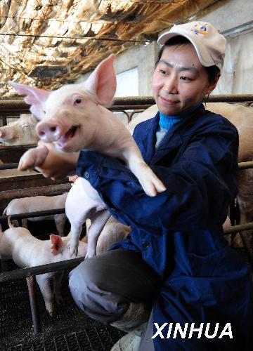 Ů��ѧ��ũ�嵱�����ġ�