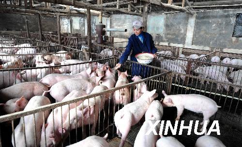 Ů��ѧ��ũ�嵱�����ġ���2��